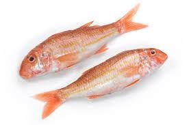 67MM RED MULLET NETS - Comfish Marine